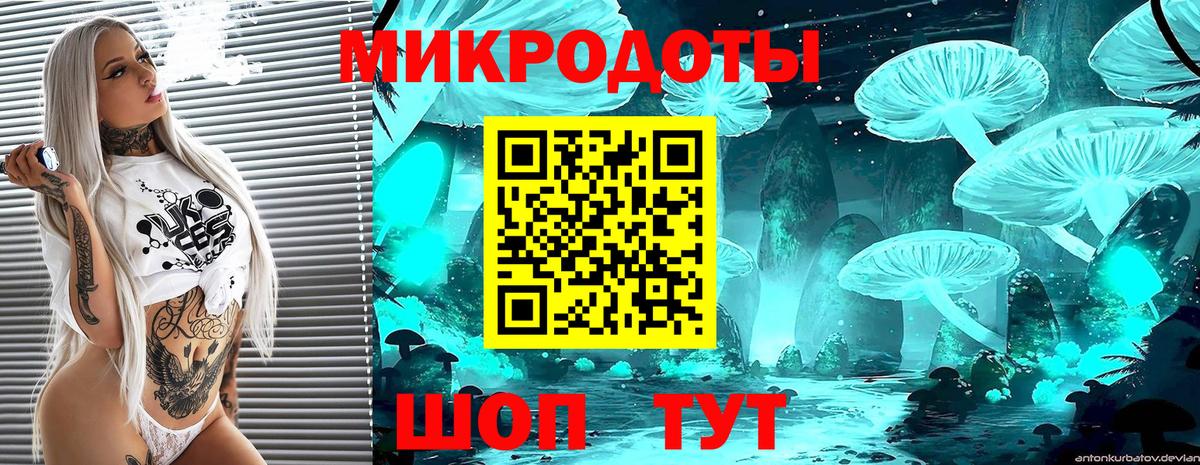 Псилоцибиновые грибы GOLDEN TEACHER  Вход с VPN  Сосновоборск 