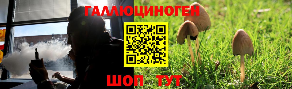 Псилоцибиновые грибы MAGIC MUSHROOMS Сосновоборск